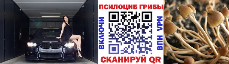 Купить  Верхняя Пышма  Галлюциногенные грибы ЛСД 